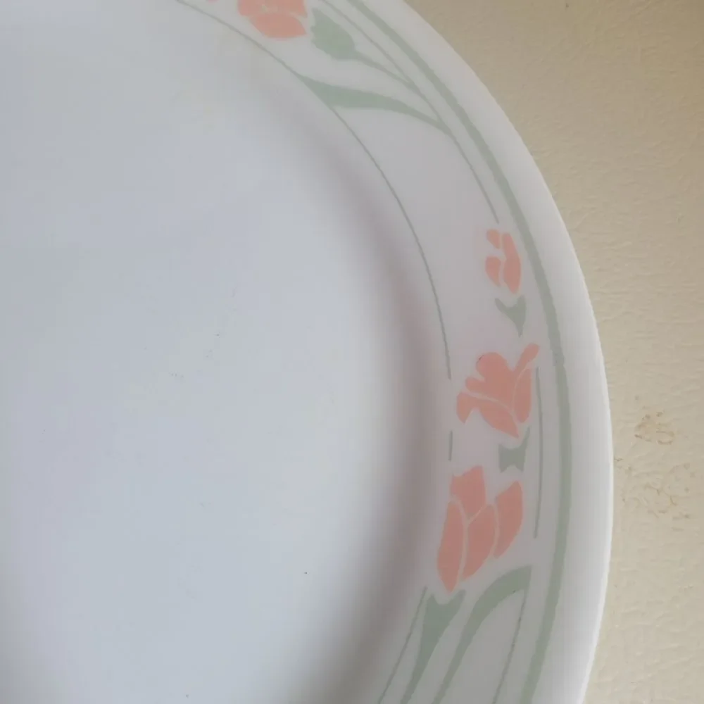 Corelle peach garland pattern 2 pcs dinner plates